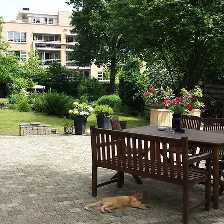 Allure * Vaals